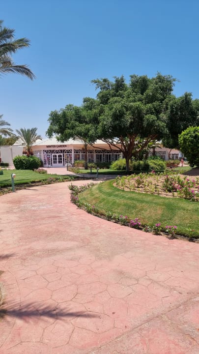 Gartenanlage Desert Rose