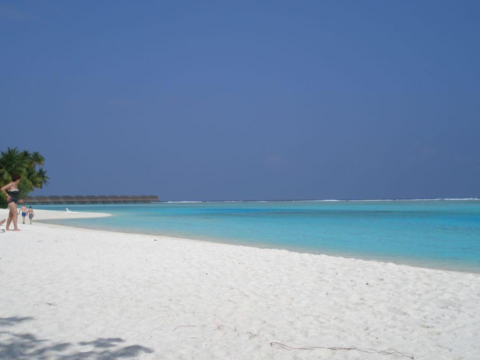 Strand ab 207 Bungis Meeru Maldives Resort Island