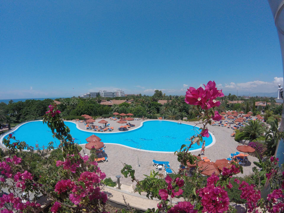 Pool Starlight Resort Hotel