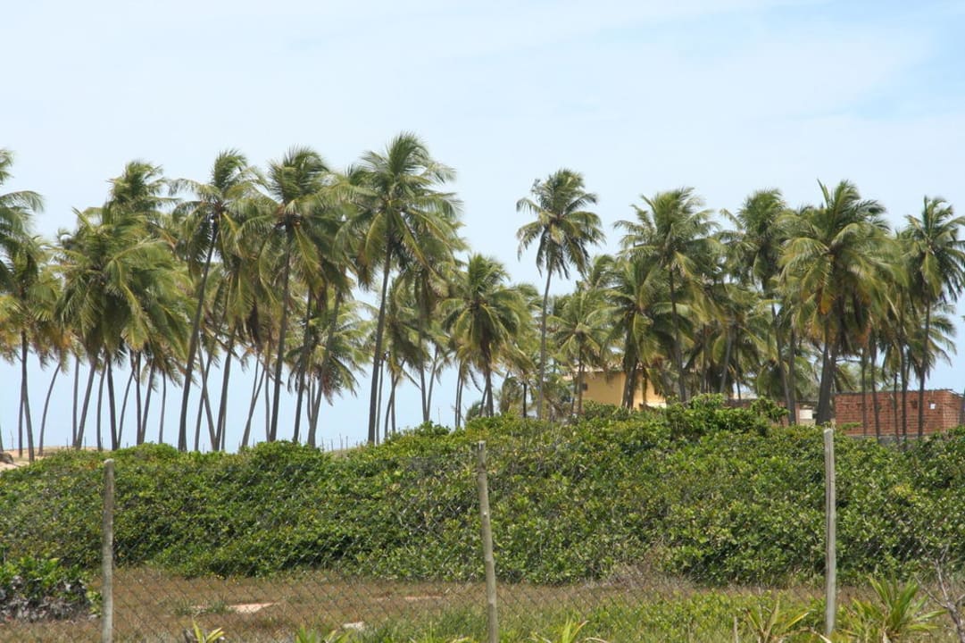 Die Strasse der Kokospalmen Hotel Estrela do Mar Resort