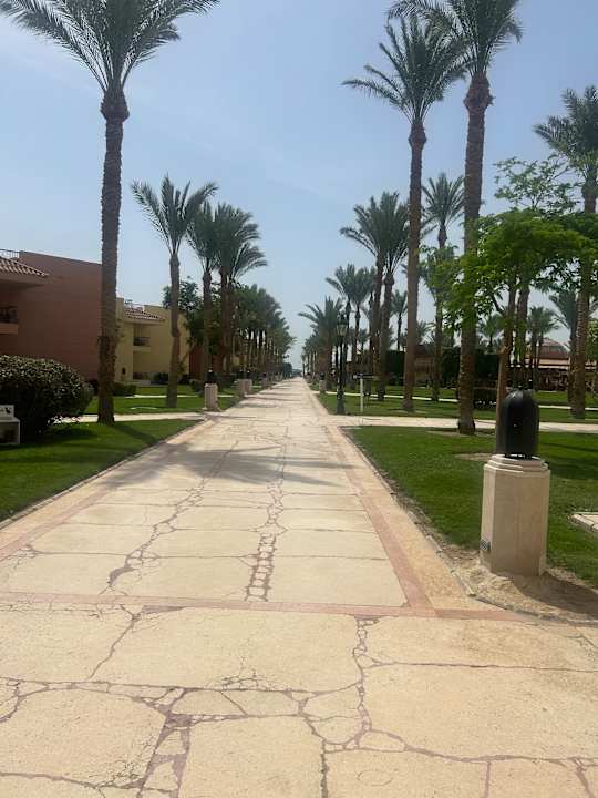 Ausblick FLOWER OF LIFE - Red Sea