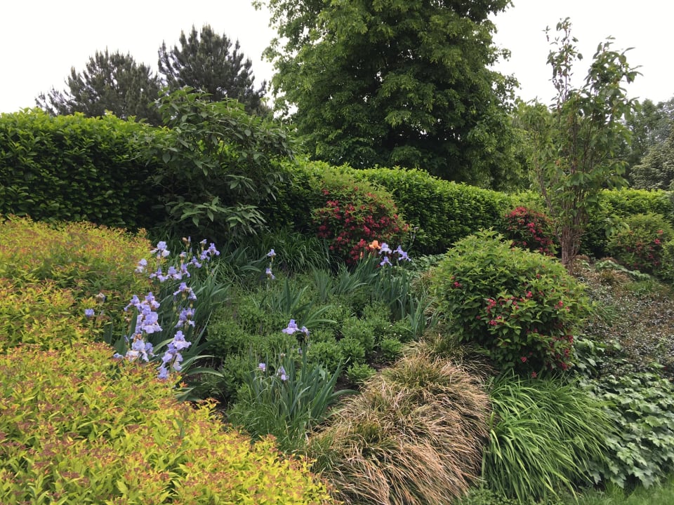 Gartenanlage Hotel & Spa Der Steirerhof Bad Waltersdorf