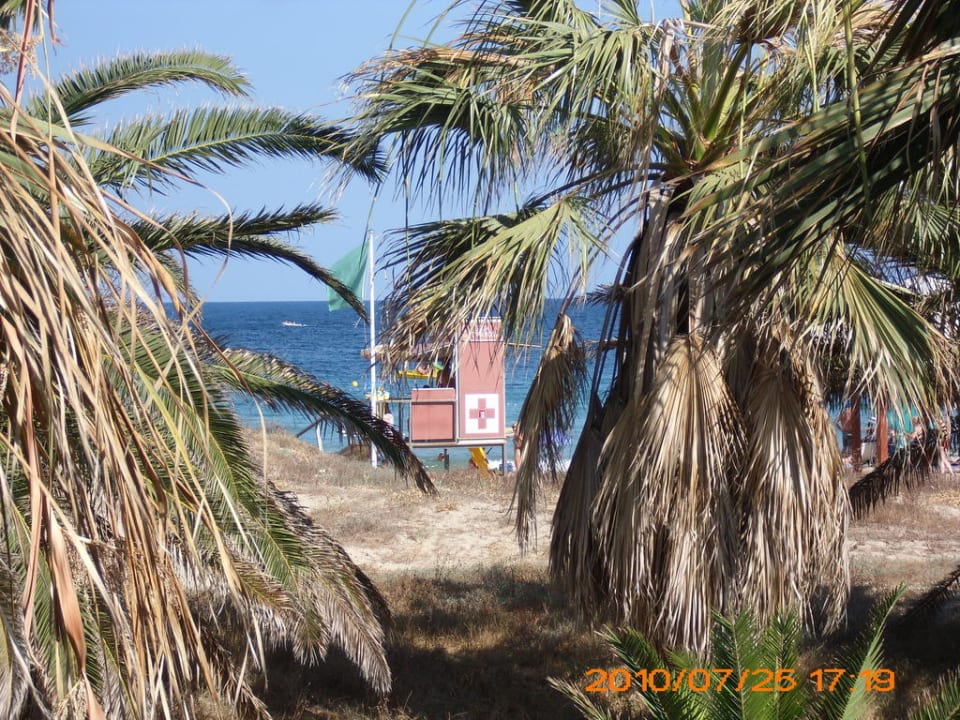 Strandblick mit Palmen FERGUS Style Bahamas