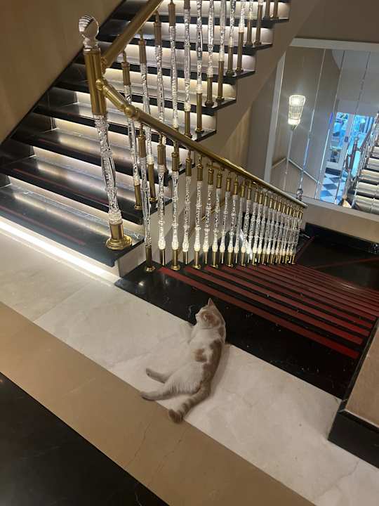 Zimmer Azura Deluxe Resort & Spa Hotel