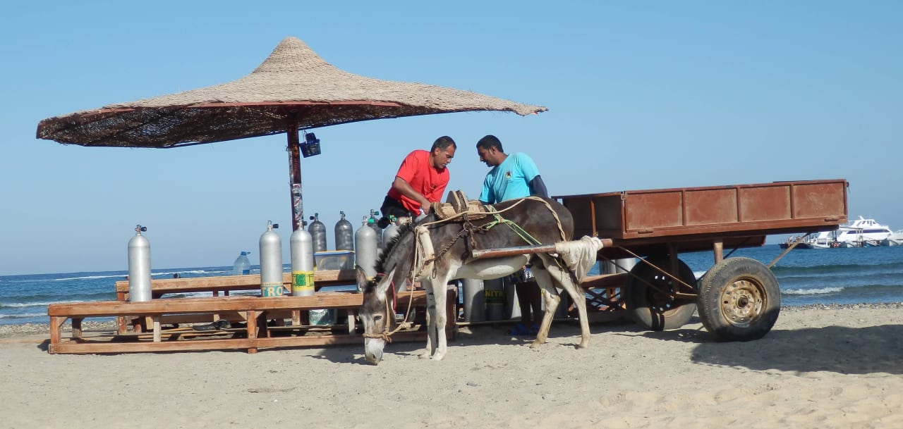Transport der Pressluftflachen Three Corners Equinox Beach Resort