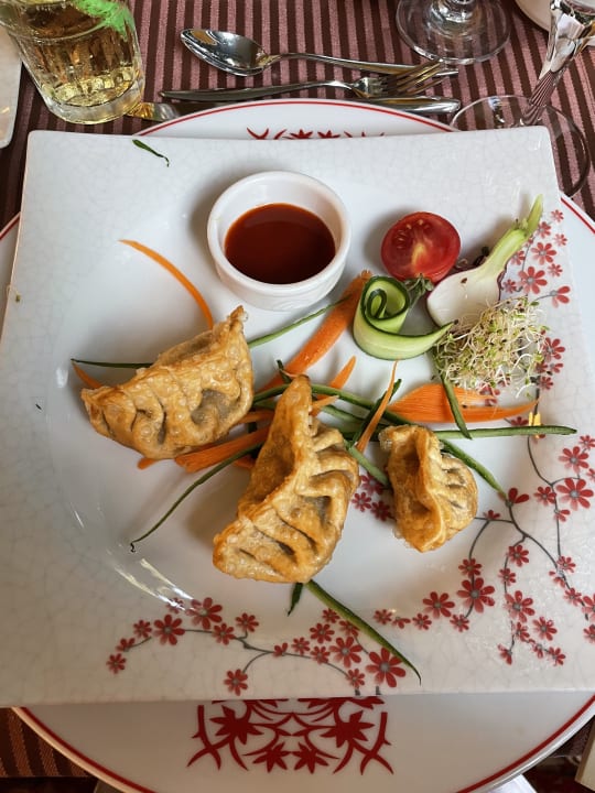 Gastro Hotel Delphin Diva