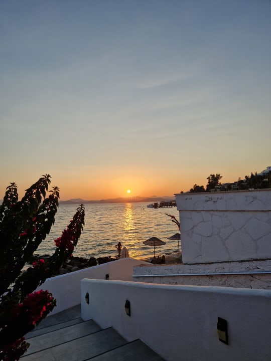 Sonstiges TUI MAGIC LIFE Bodrum - Adult Only (16+)