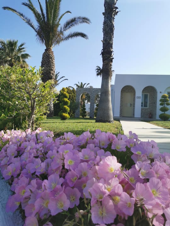 Gartenanlage Smy Kos Beach & Splash