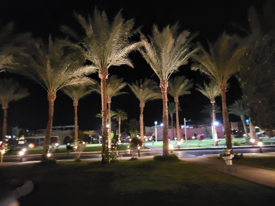 Gartenanlage SUNRISE Royal Makadi Resort