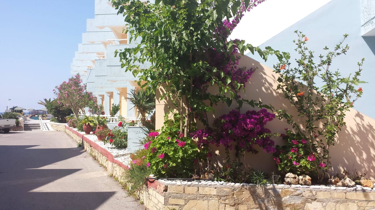 Hofansicht mit Blick richtung Meer Hotel Kathrin Beach