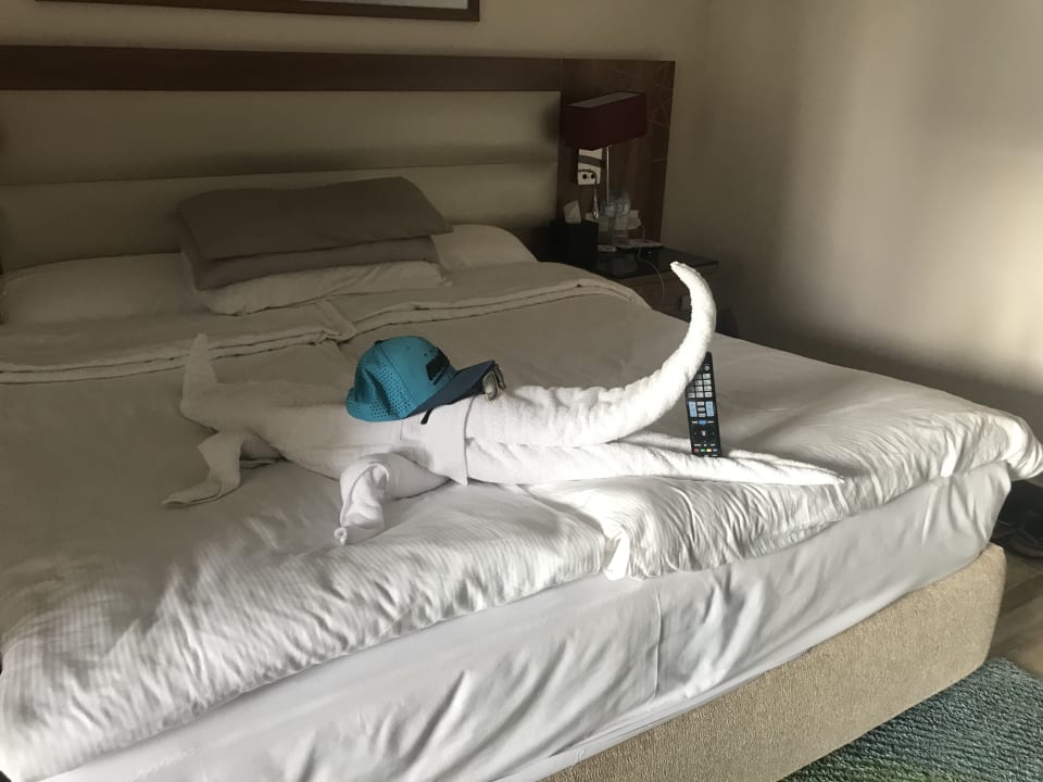 Zimmer Pickalbatros Aqua Park Resort - Sharm El Sheikh