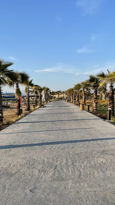 Gartenanlage Jacaranda Luxury Resort