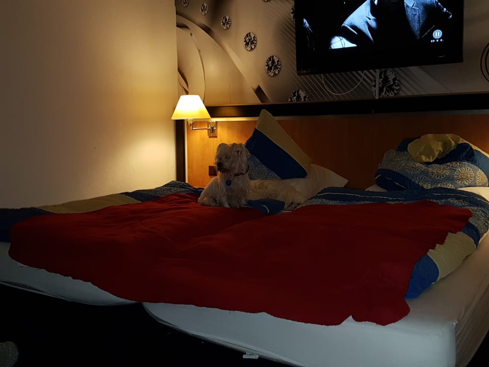 Zimmer Hotel Garni Blackcoms Erika