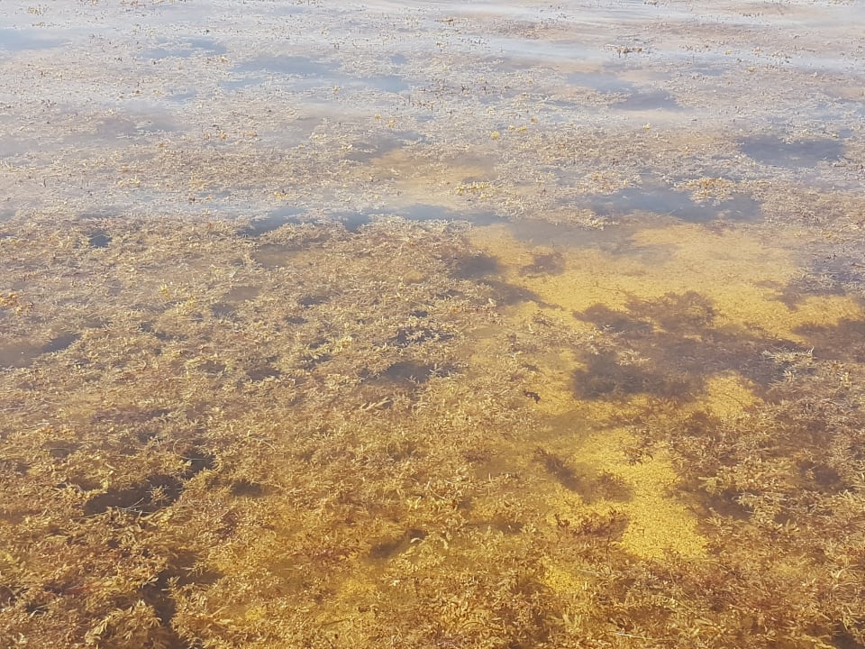 Strand Catalonia Punta Cana - All Inclusive