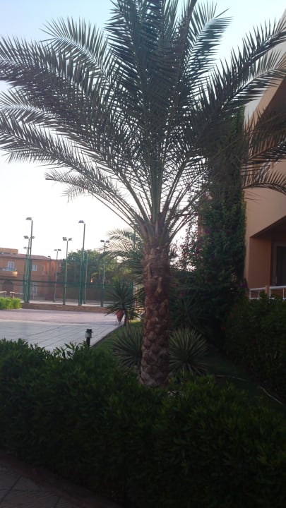 Club Calimera Hurghada Golden Beach Resort