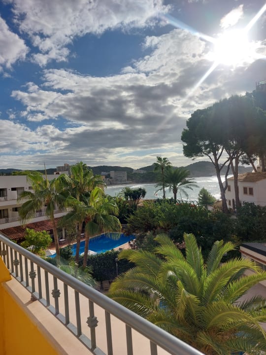 Zimmer FLOR los Almendros Hotel