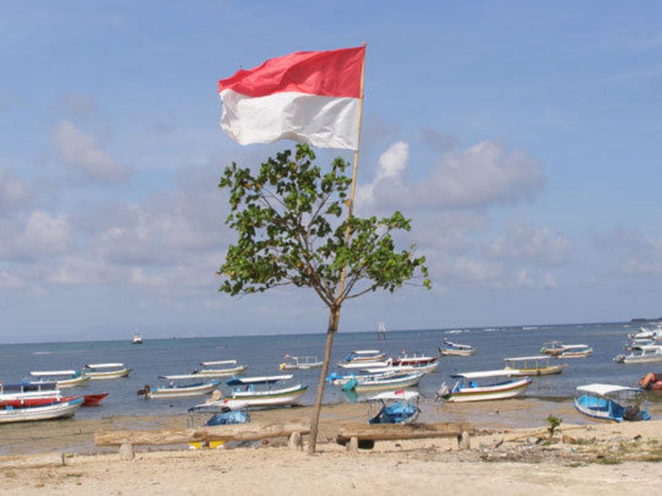 Drzewko patriotyczne Sol by Melia Benoa Bali
