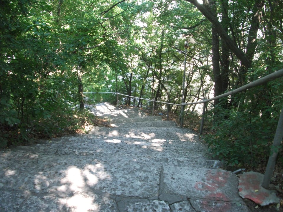 Die berühmt berüchtigte Treppe HVD Viva Club Hotel