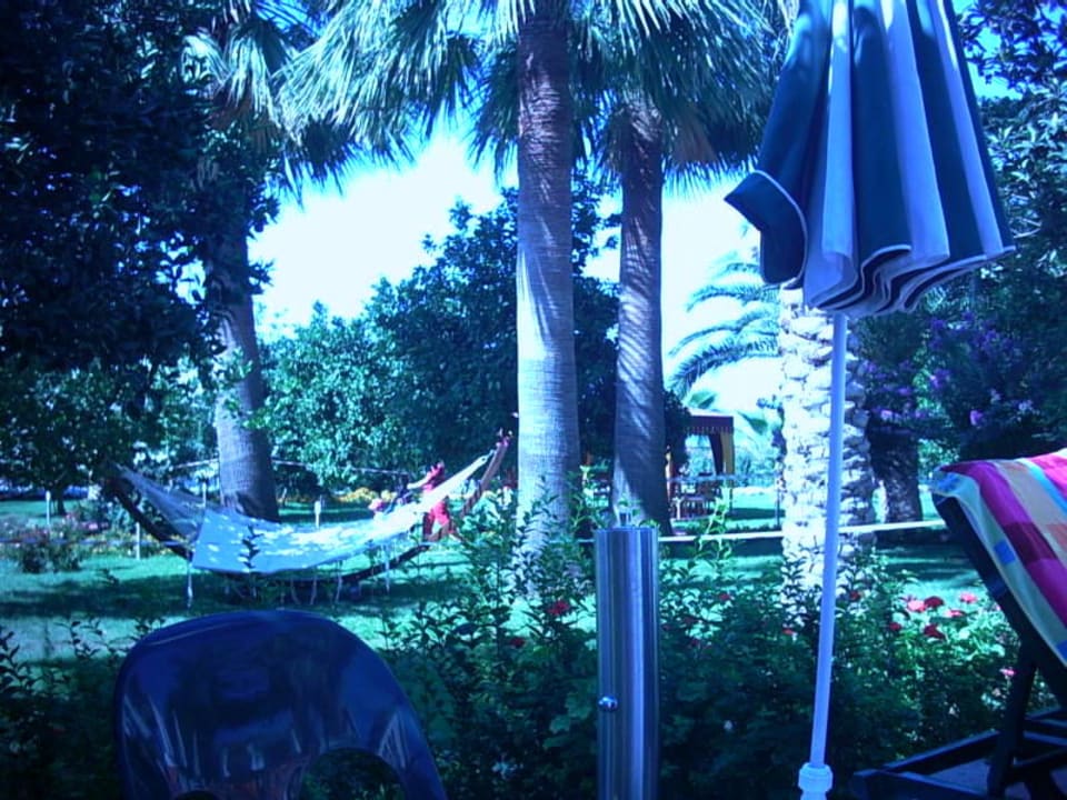 Blick vom Pool in den Garten mit Hängematte Seher Kumköy Star Resort & Spa