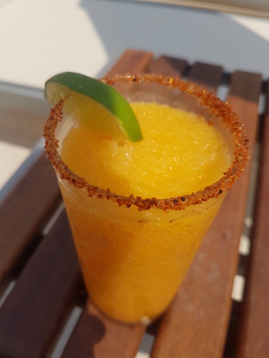 Gastro Secrets Vallarta Bay Puerto Vallarta