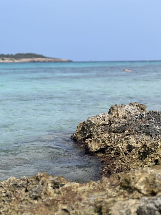 Sonstiges Hipotels Mediterraneo Club