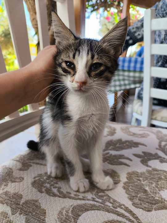 Sonstiges TUI MAGIC LIFE Kalawy