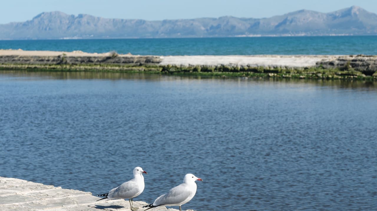 Ausblick genießen Playa Esperanza Resort