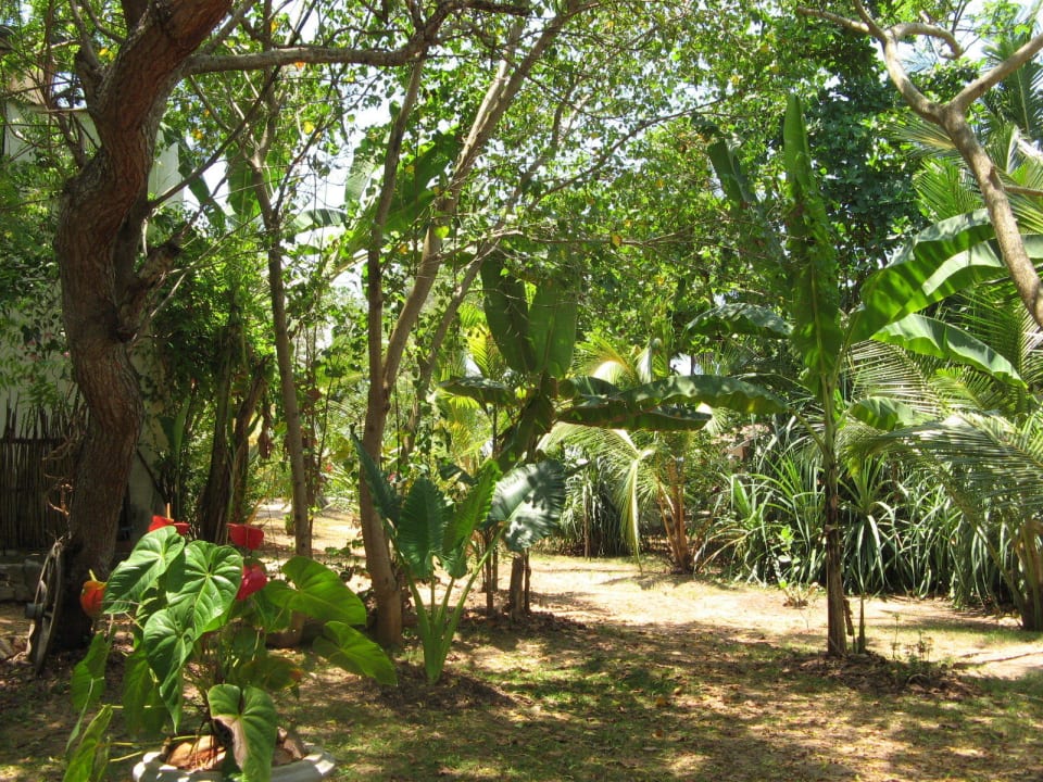 Blick in den Garten Villa Sunrise