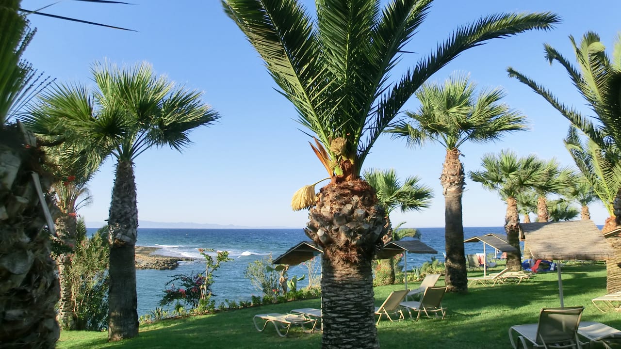 Gartenanlage Crystal Springs Beach Hotel
