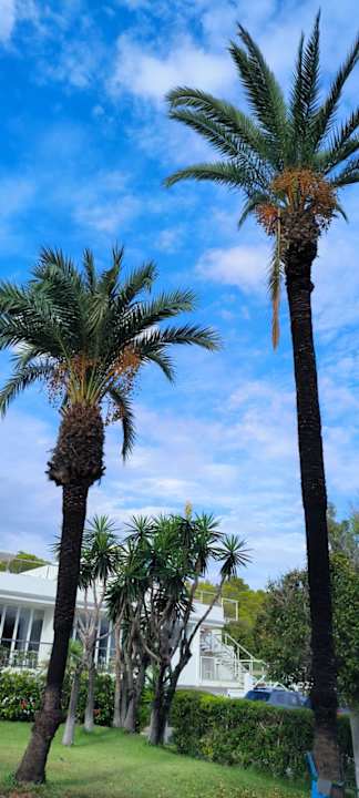 Gartenanlage Cala Llenya Resort Ibiza