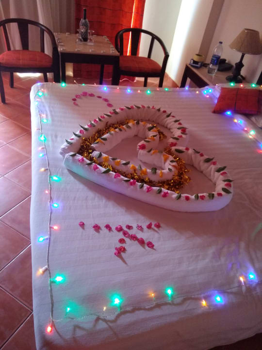 Zimmer Three Corners Sea Beach Resort