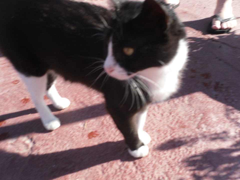 Abendliche Besucher Doreta Beach Resort & Spa