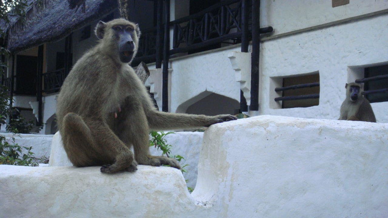На нашей террасе Hotel Papillon Lagoon Reef