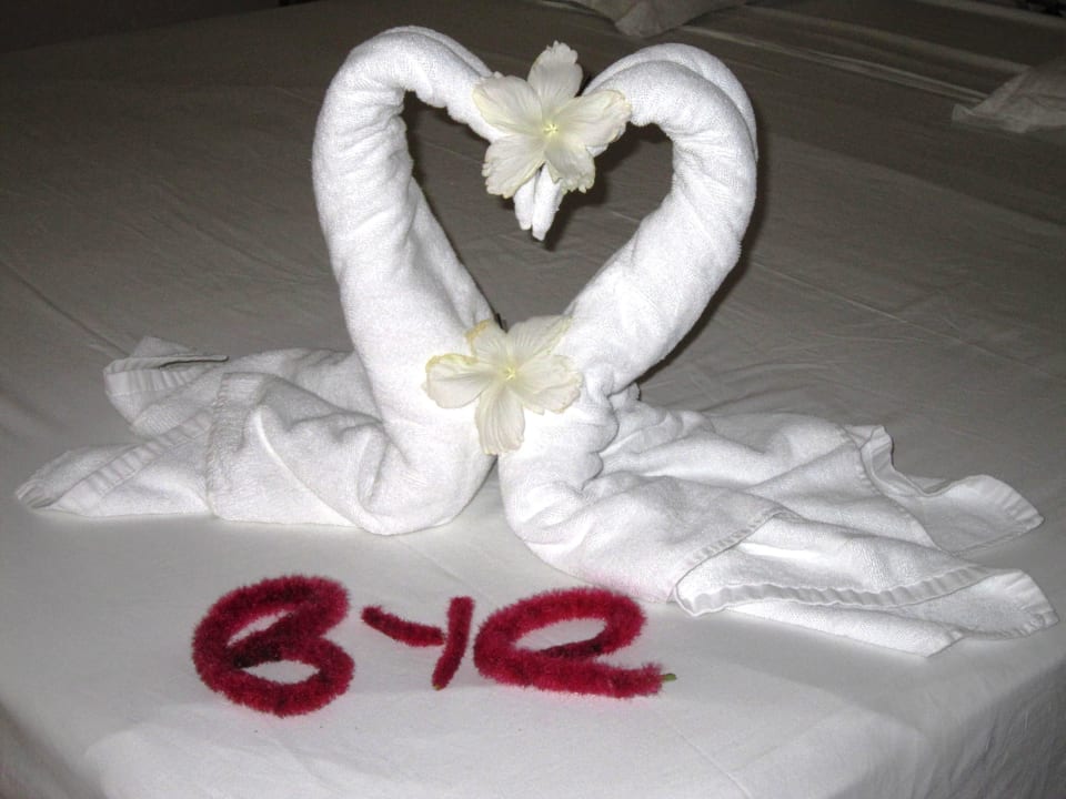 Eins der Handtuchkunstwerke Paradisus Rio de Oro Resort & Spa - Adults only