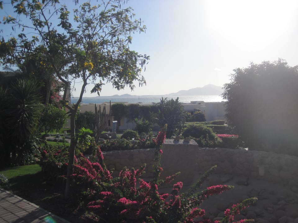 Ogród JAZ Belvedere Resort