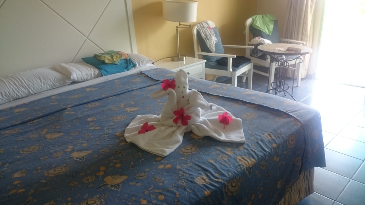 Zimmer Iberostar Origin Taínos