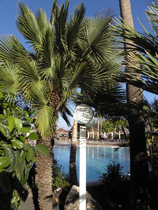 Widok na basen IFA Altamarena by Lopesan Hotels