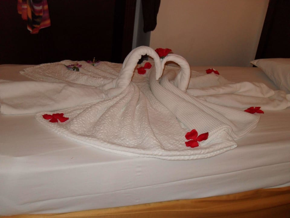 Jeden Tag gab es eine andere Handtuchfigur Club Turtas Beach Hotel