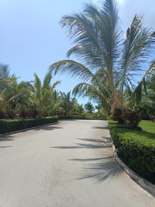 Außenansicht Hotel Riu Jambo