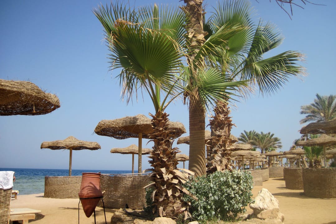 Strand Pickalbatros Citadel Resort