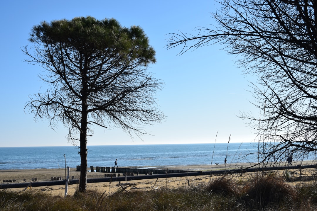 Sonstiges Hotel Golf