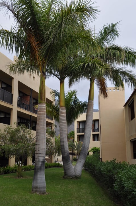 Wychodząc z pokoju La Palma Princess