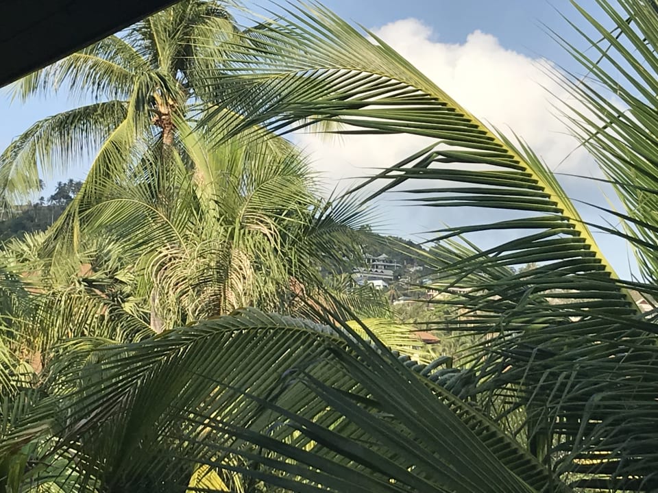 Ausblick Bandara Resort & Spa Samui