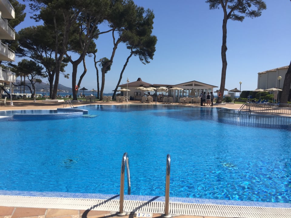 Pool Grupotel Los Principes & Spa
