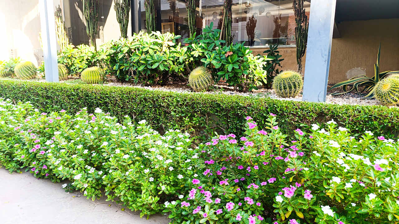 Gastro Amarina Abu Soma Resort & Aquapark