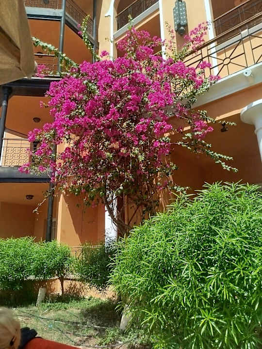 Gartenanlage The Grand Resort