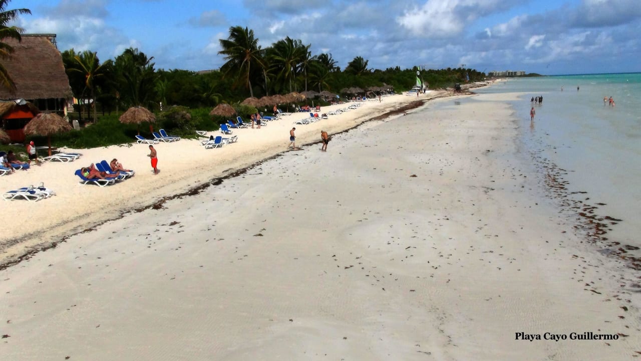 Dieser Strand ist im Partnerhotel in Guillermo ! Hotel Melia Cayo Coco - Adults only