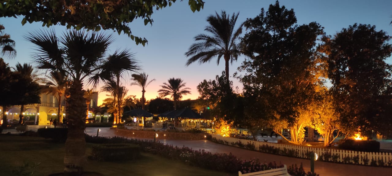 Gartenanlage Desert Rose