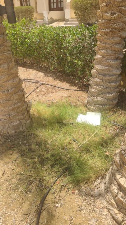 Gartenanlage Coral Hills Resorts & SPA