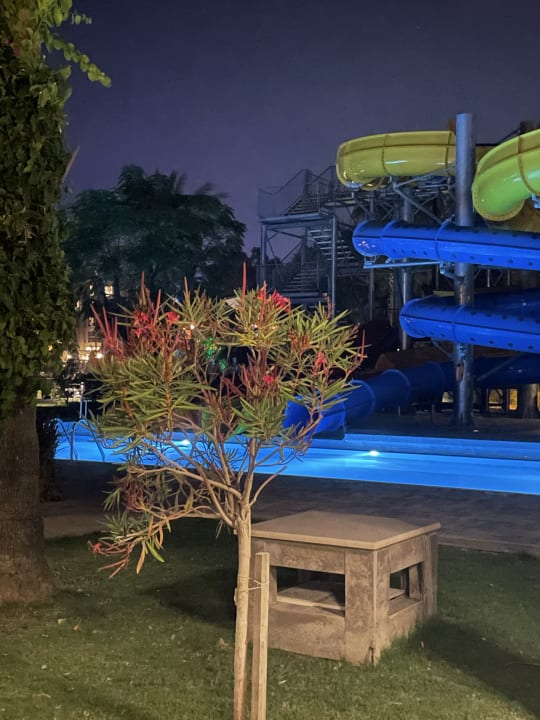 Pool Arum Barut Collection